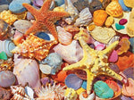 Beach Shells Jigsaw Puzzle