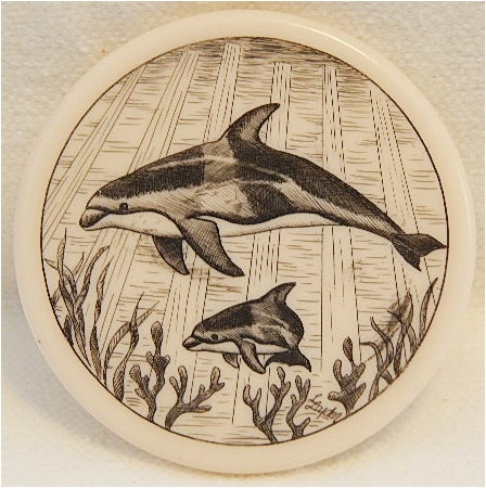 Scrimshaw Dolphin Magnet